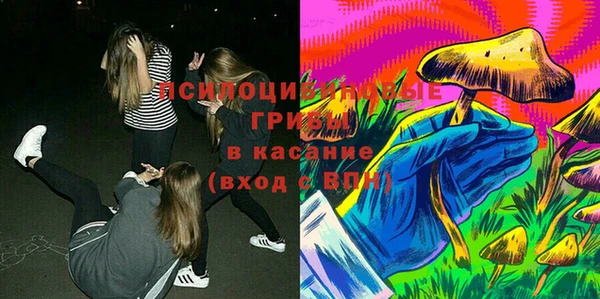 марки lsd Богородицк